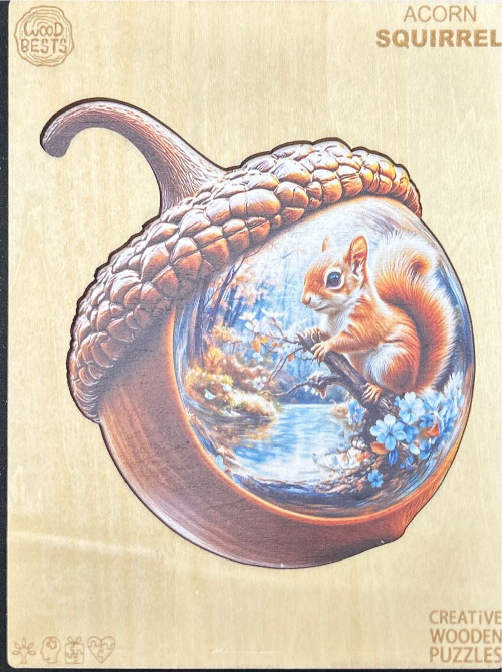 Vibrant Kitchen Cabinets