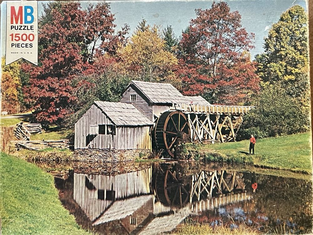 What The F Succulent Theme