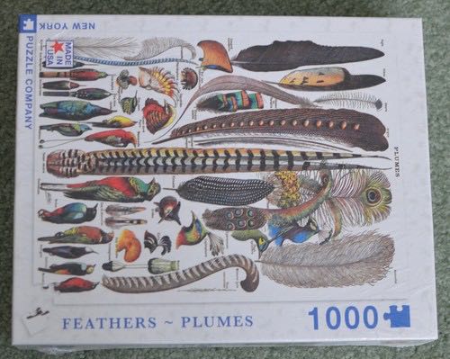 Greenhouse Garden By Eduard