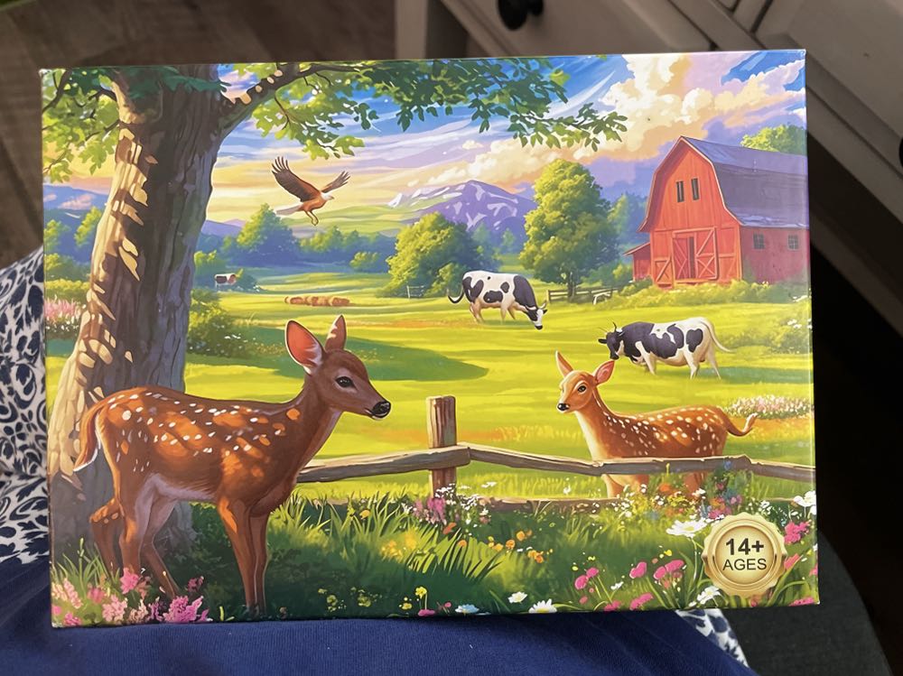 Kittens In The Kitchen