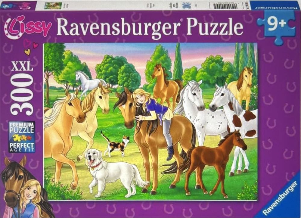 D-500-695:Believing in Dreams