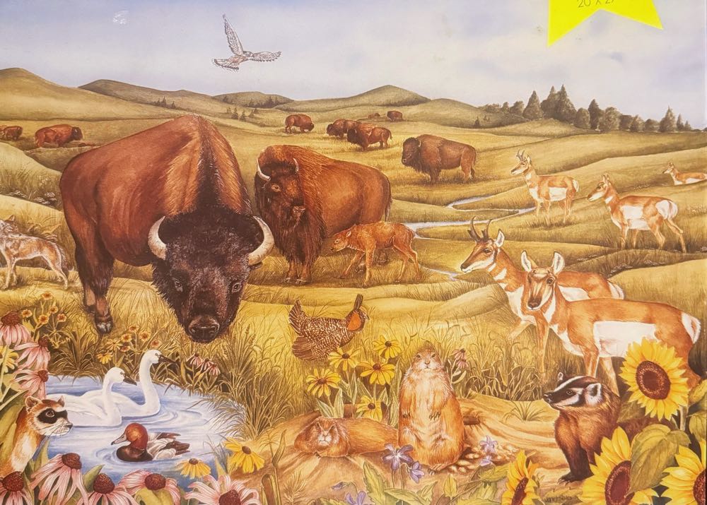 Quokka-Alice’s Adventures