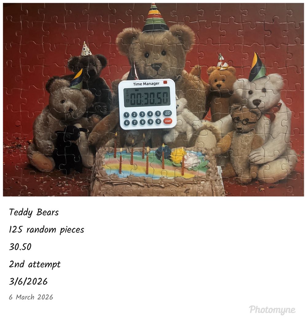 Teddy Bears - American Publishing puzzle collectible - Main Image 9