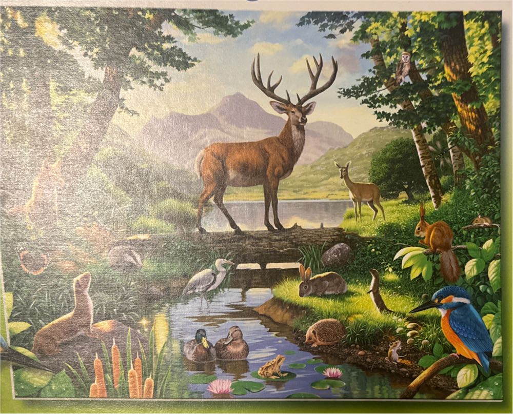 EPO-73-404: Chip ’n Dale - Let’s Make Together! (Decoration)