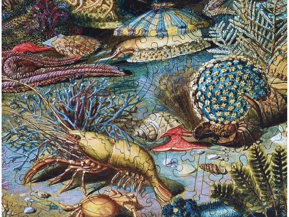 Ocean Life - Liberty Puzzles puzzle collectible - Main Image 2