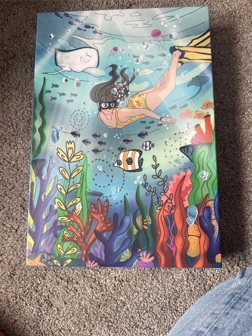 Beetles and Butterflies