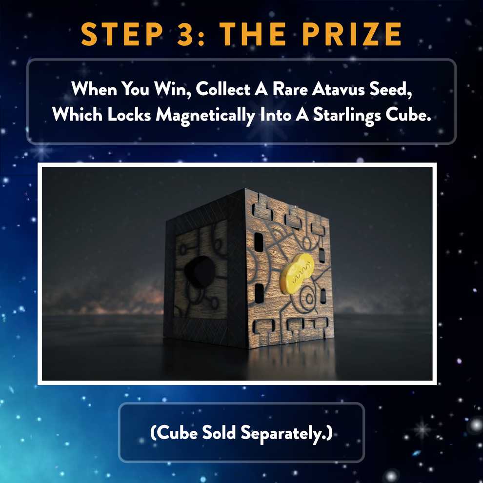 The Starlings Box - The Starlings puzzle collectible [Barcode 691835037752] - Main Image 3