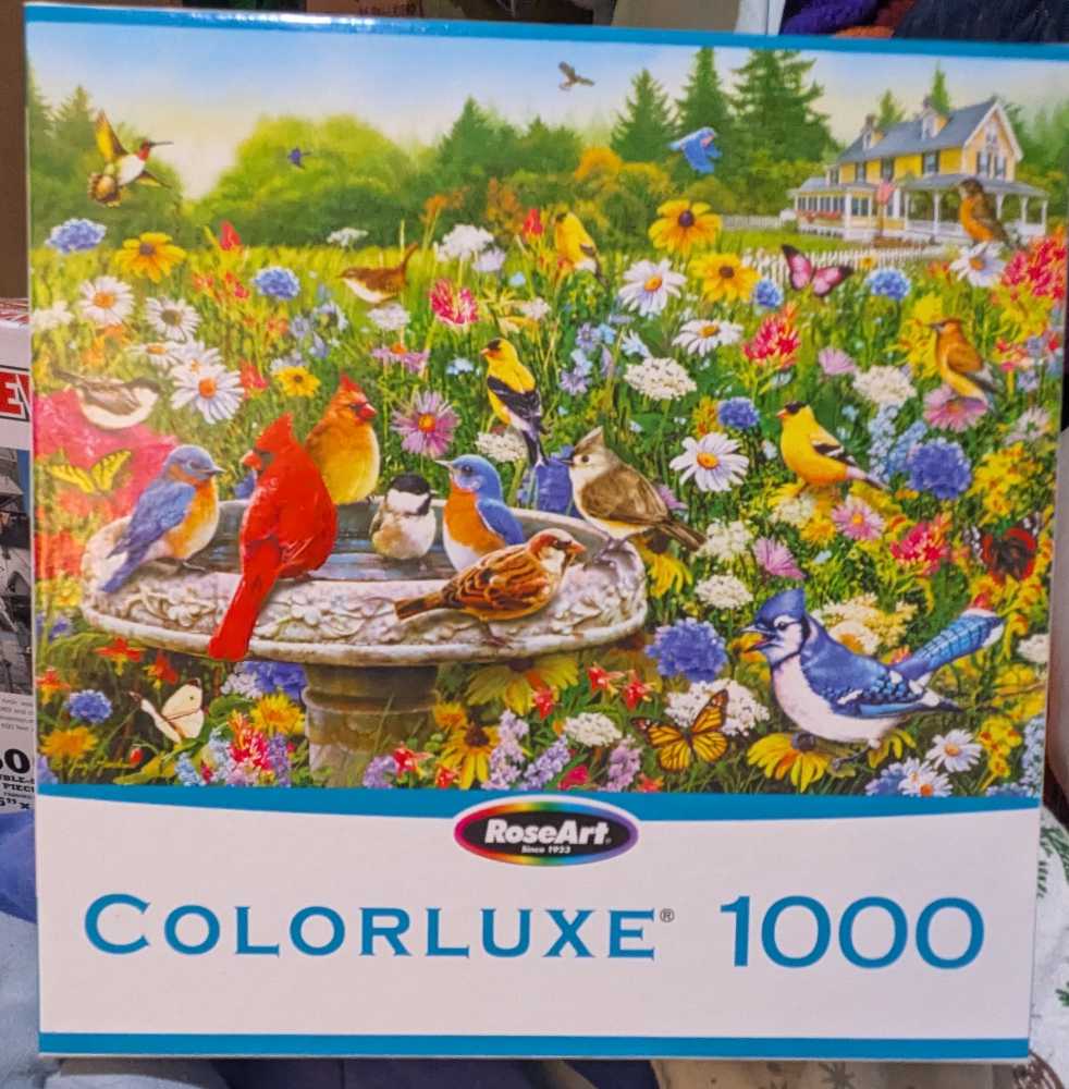 Hoopla At The Harbor