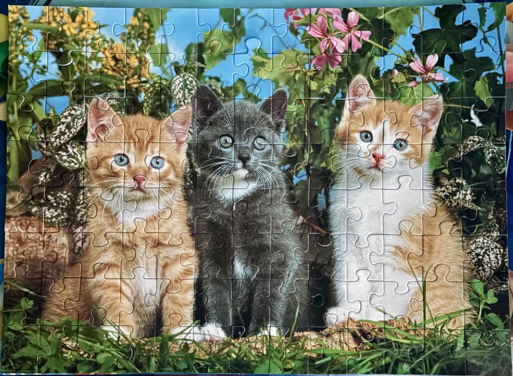 Care Bears™ By Piecerelax 5-pack Hexagon Wall Tile Puzzle Set 56 Plastic Pieces With Mirror Bearadise Unique Gift & Home Décor With Restickable Strips No Glue Needed Hx1287