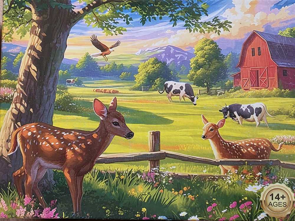 Z Romantic Evening In Venice