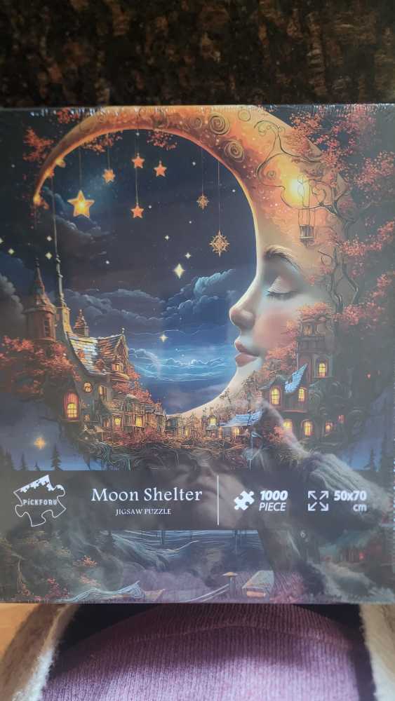 Winter Woodland Cottage Mini Qt