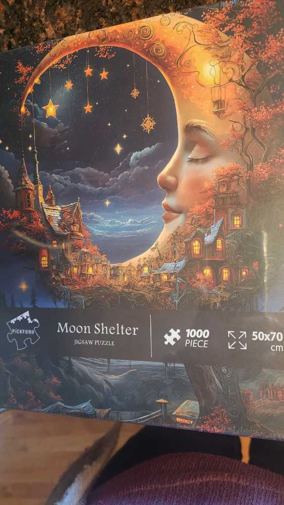 Moon Shelter - Pickforu puzzle collectible - Main Image 2