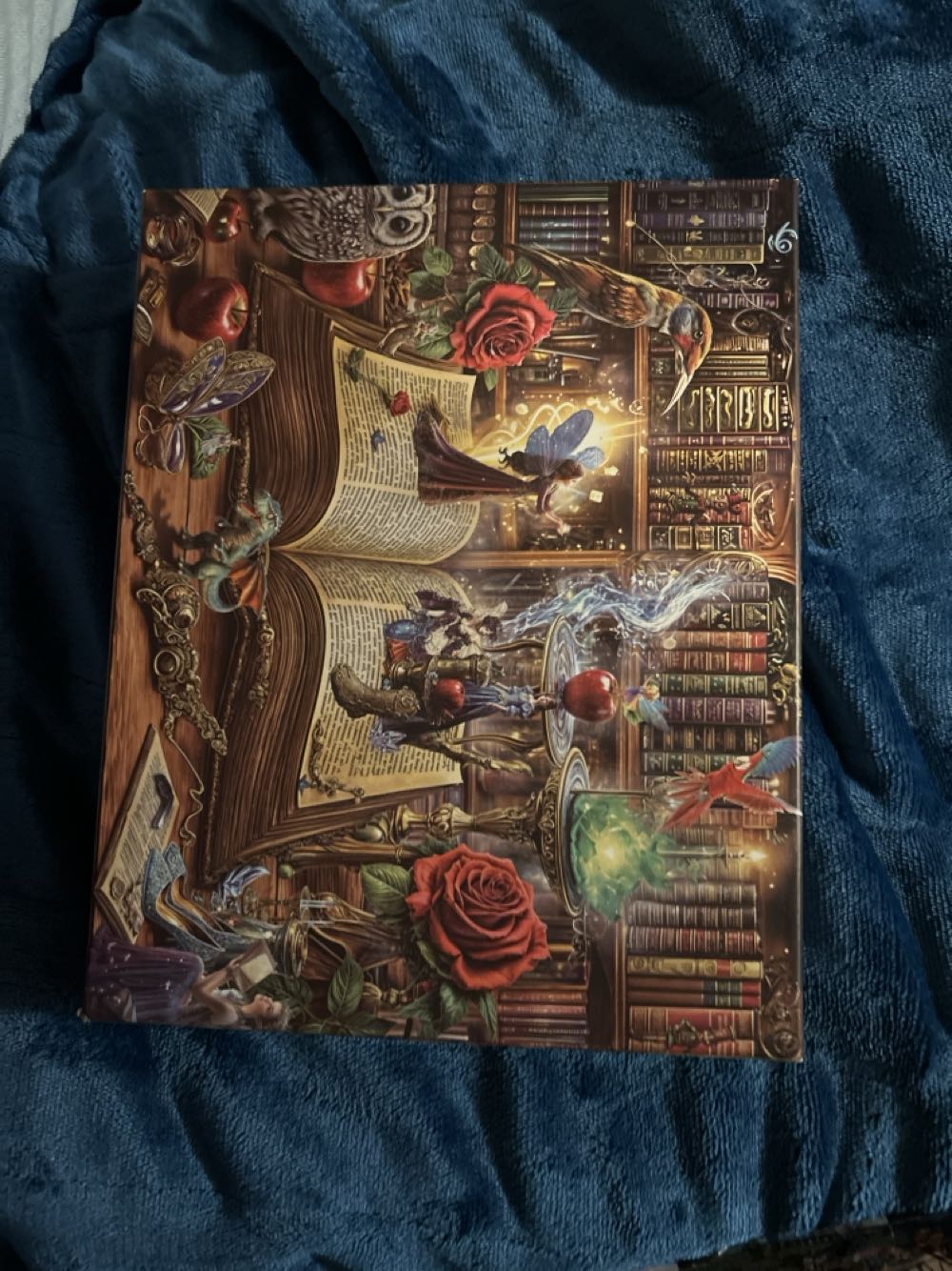 Variety Of Colorful Ice Cream