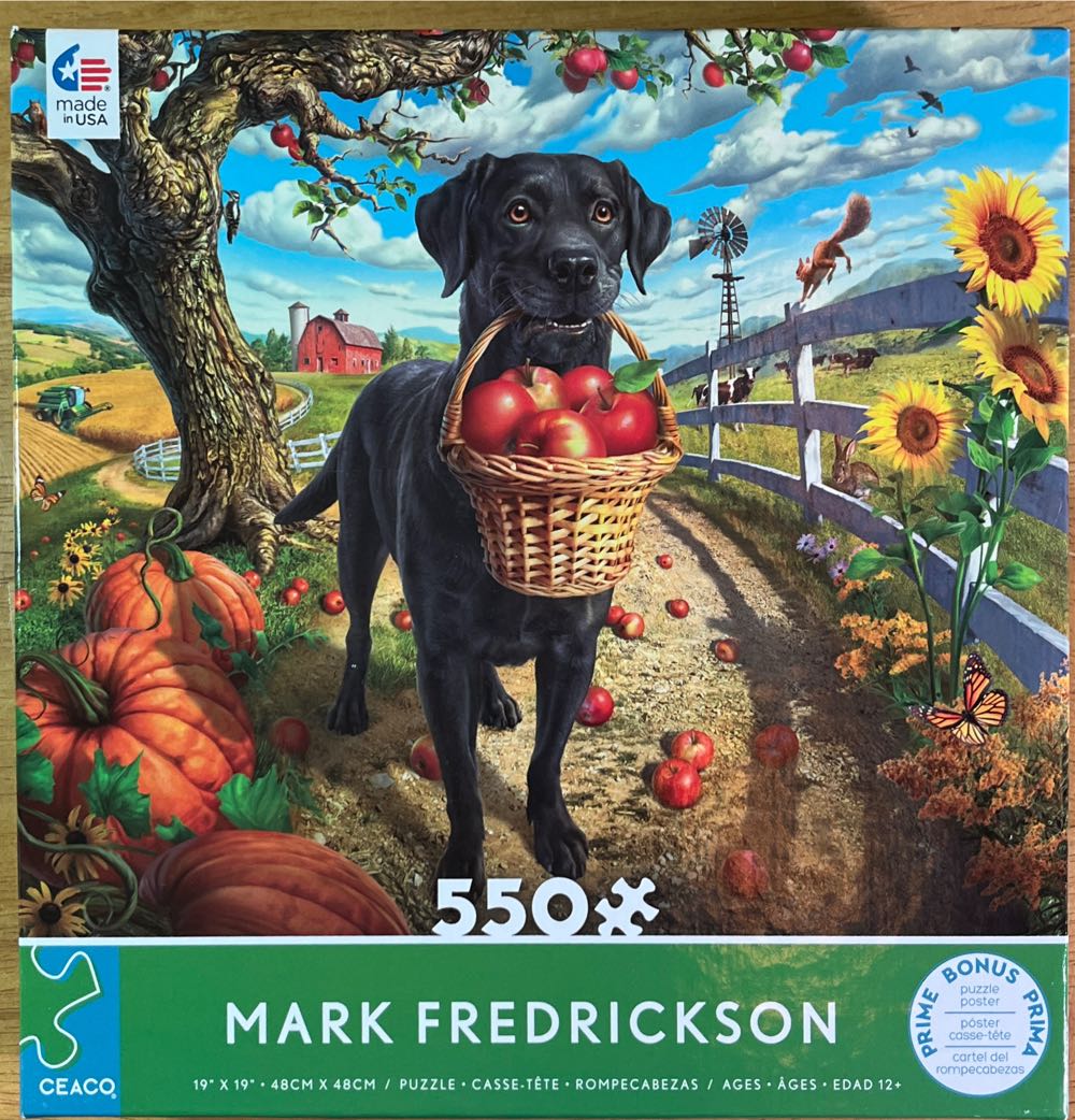 Crocodile Creek In Silhouette Box Floor 30 Shaped Box Barnyard 384090 1