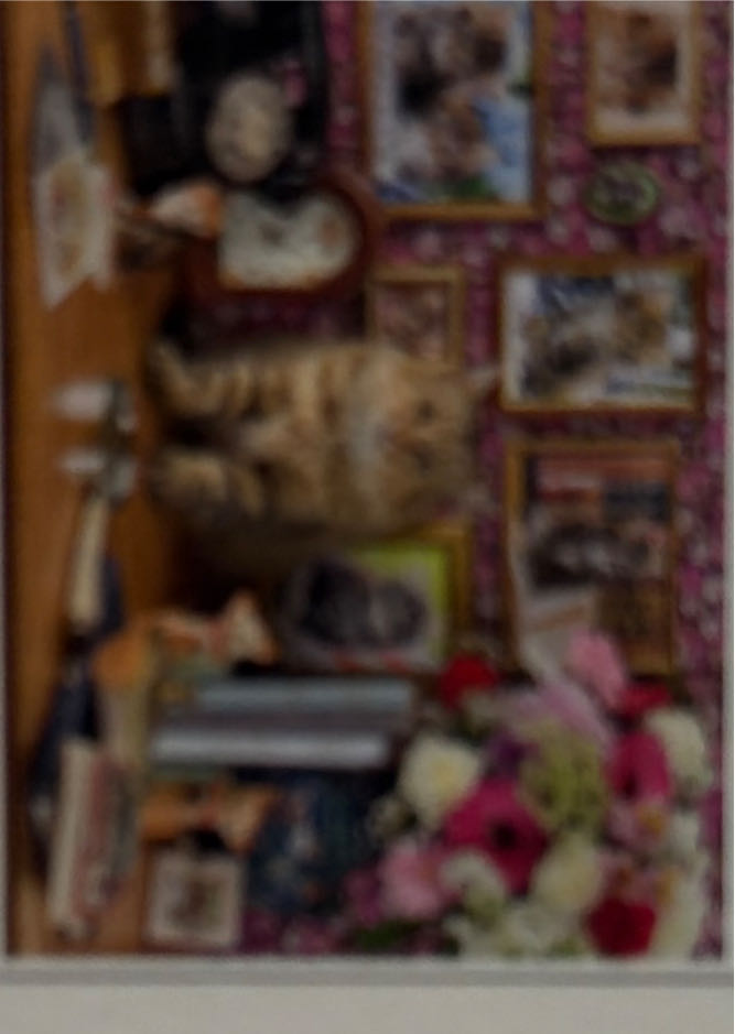 Ravensburger Pink Pathway Piece Puzzle For Adults