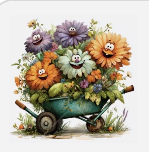 Gensola Educa 300 Xxl