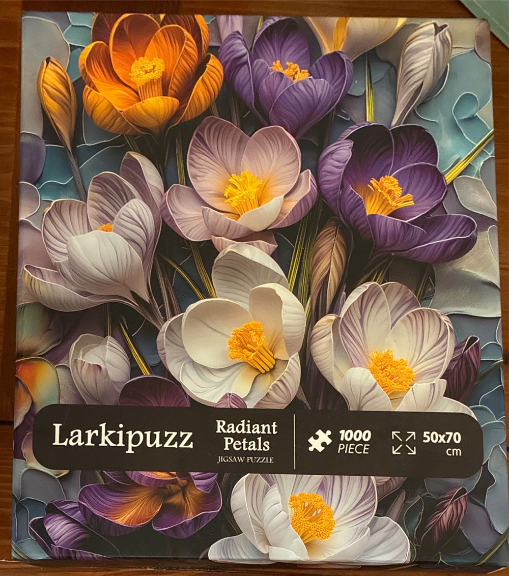 Pride & Prejudice: The Opening Lines: A 500-piece Jigsaw Puzzle