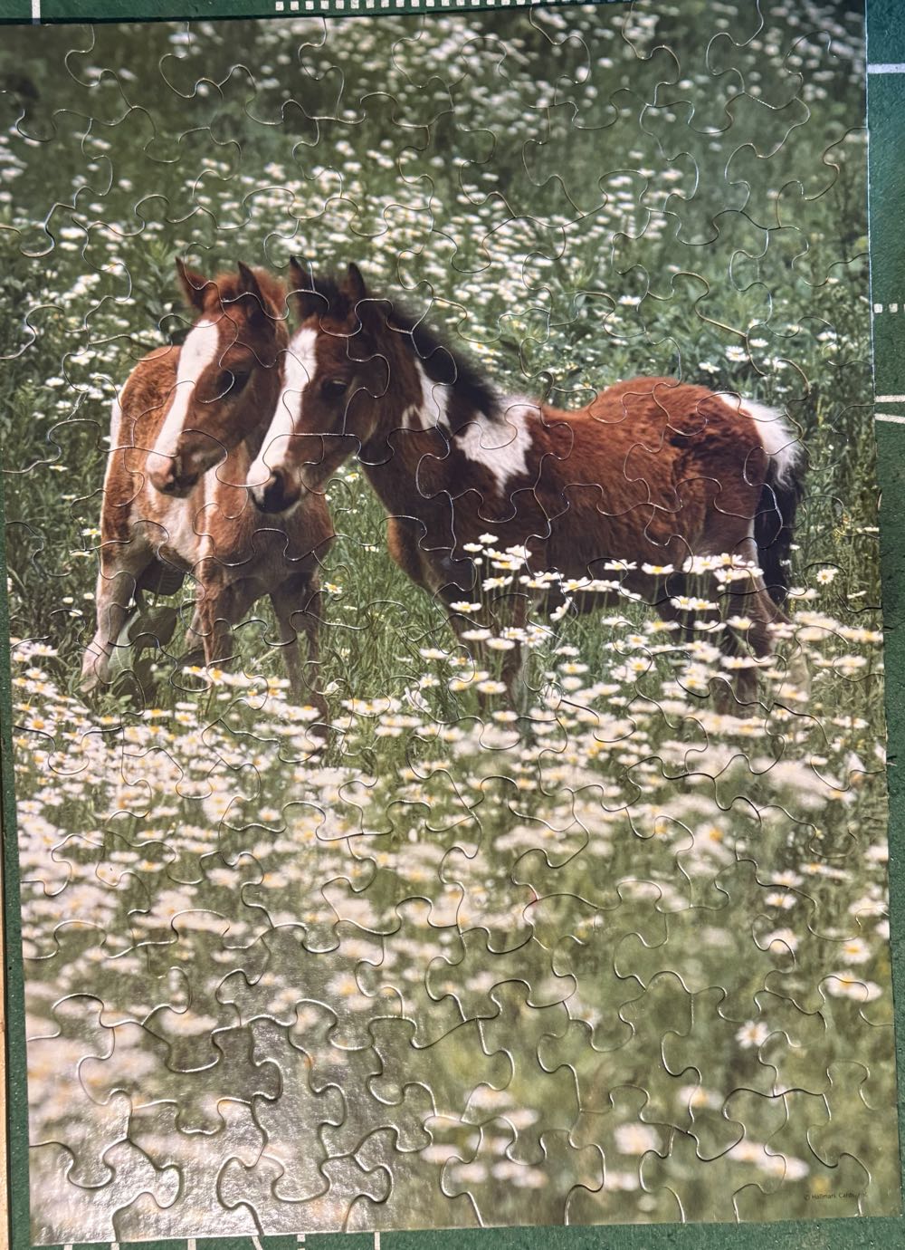 Foals And Flowers - Springbok puzzle collectible - Main Image 2