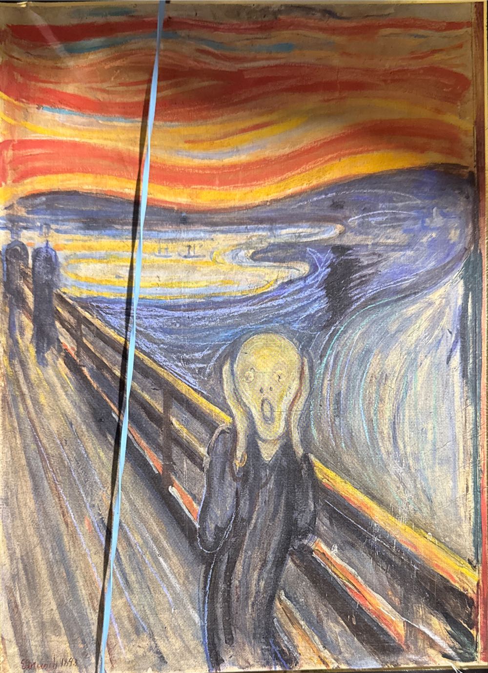 Pollinators Of The USA