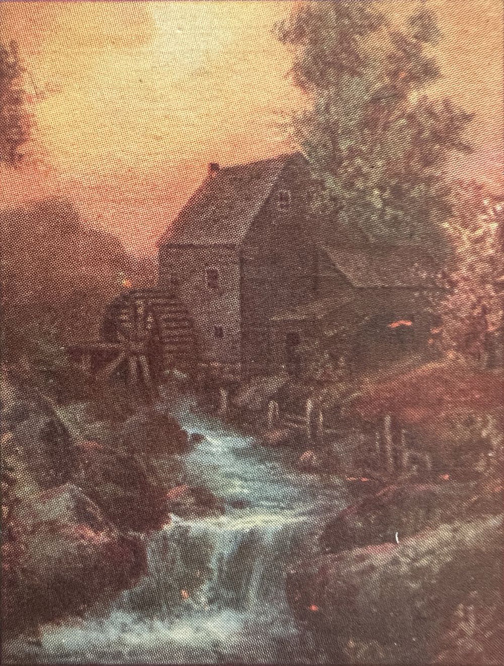 A Roomful Of Naughty Puppies