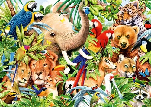 Amish - Limited Edition