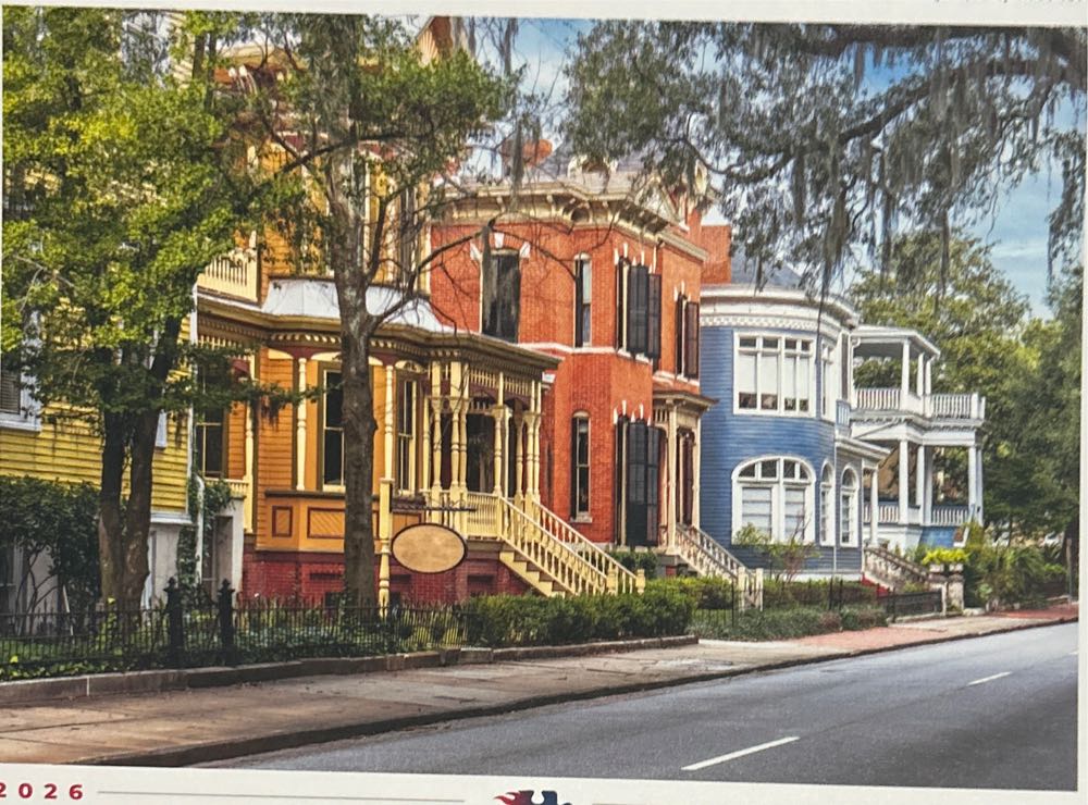 Bustling Flower Market