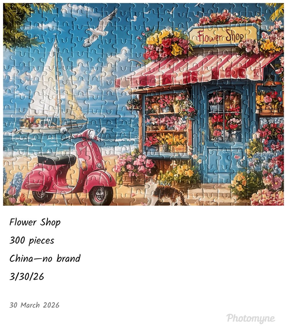 Flower Shop  - Amazon—no brand puzzle collectible - Main Image 3