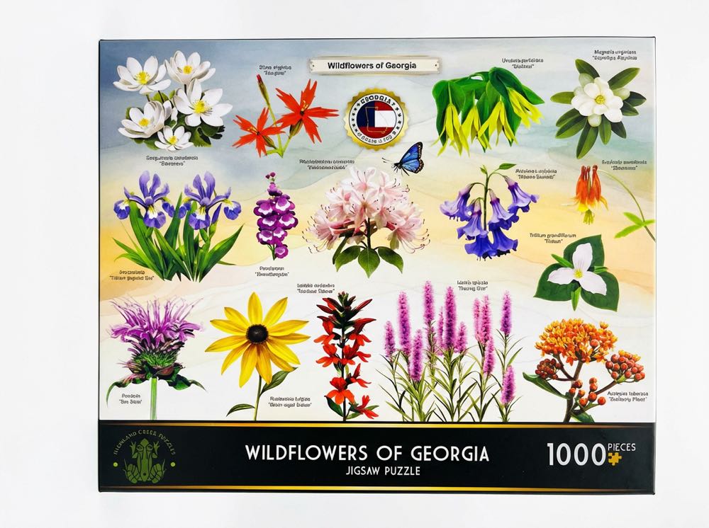 The Capitol American Airlines Poster