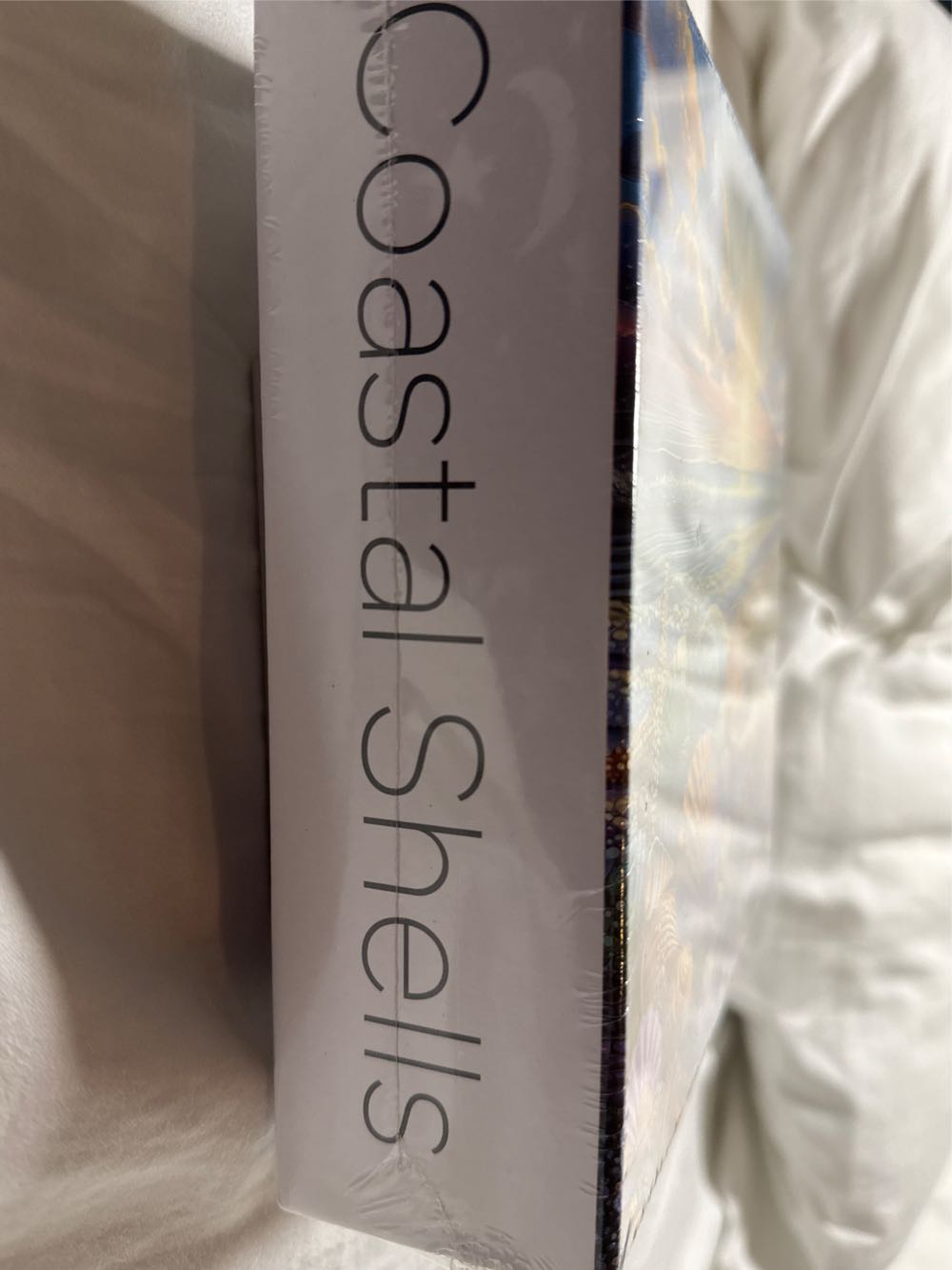 Coastal Shells - Pickforu puzzle collectible - Main Image 3