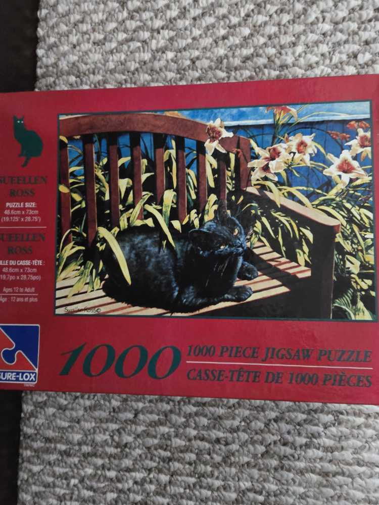 San Francisco, Lombard Street , Glow In The Dark 