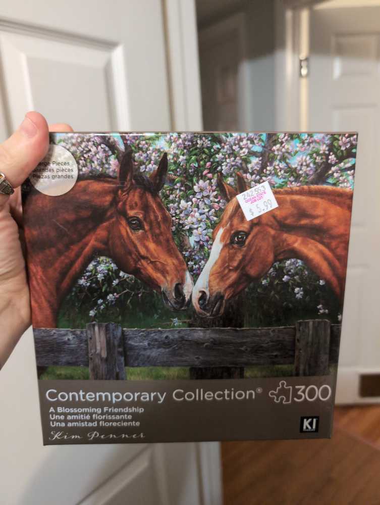 Pride & Prejudice: The Opening Lines: A 500-piece Jigsaw Puzzle