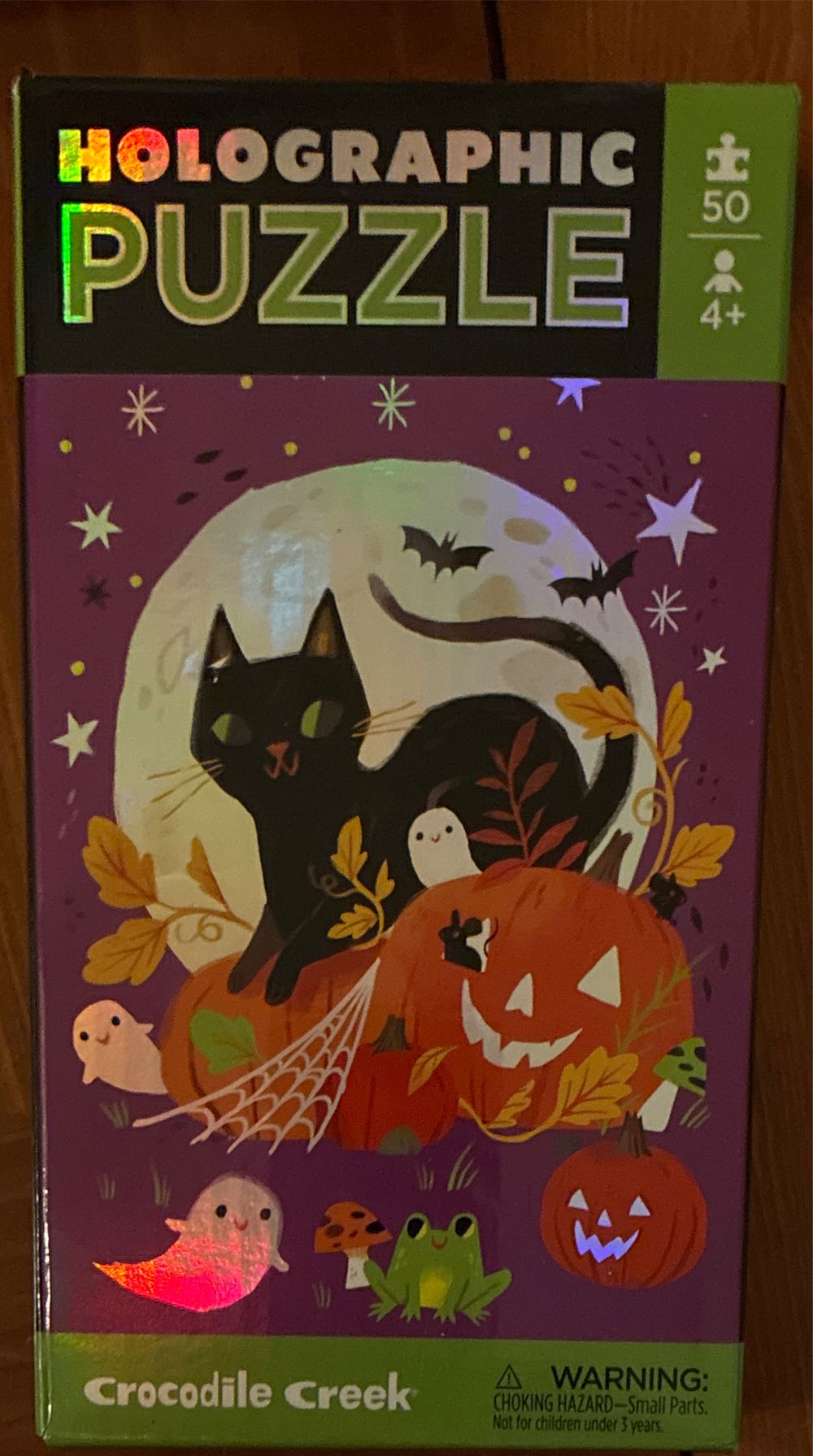 476. The Lovers Of Venice