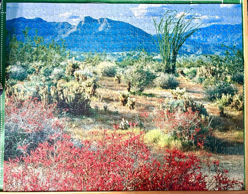 Glorieta Canyon, Sonoran Desert, CA - According To Hoyle puzzle collectible [Barcode 041187056008] - Main Image 2