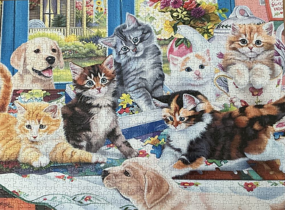 Kittens And Puzzles - Crown & Andrews 🇦🇺 puzzle collectible [Barcode 9317762206207] - Main Image 2