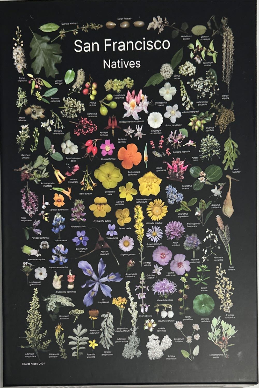 Returns Lot # 969001 337 Units Of Toys