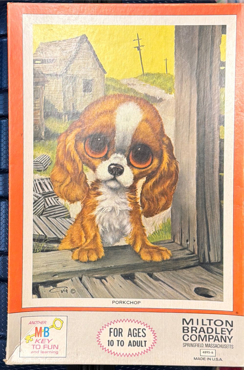 Variety Of Colorful Ice Cream