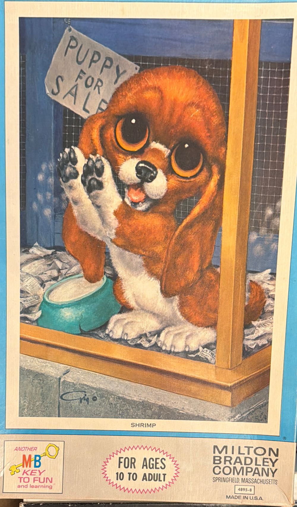 Pink Bug In Istanbul 