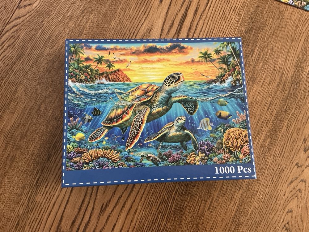 Aquarius Corpse Bride 500pc Puzzle 500 Piece Jigsaw Puzzle Glare Free Precision Fit Officially Licensed Corpse Bride Movie Merchandise & Collectibles 14x19 Inches