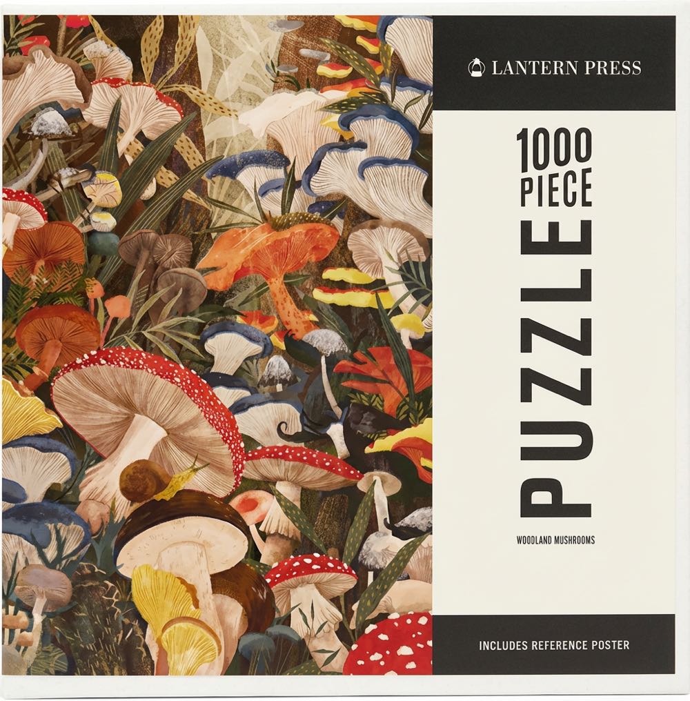 Dream Of Dawn Taj Mahal