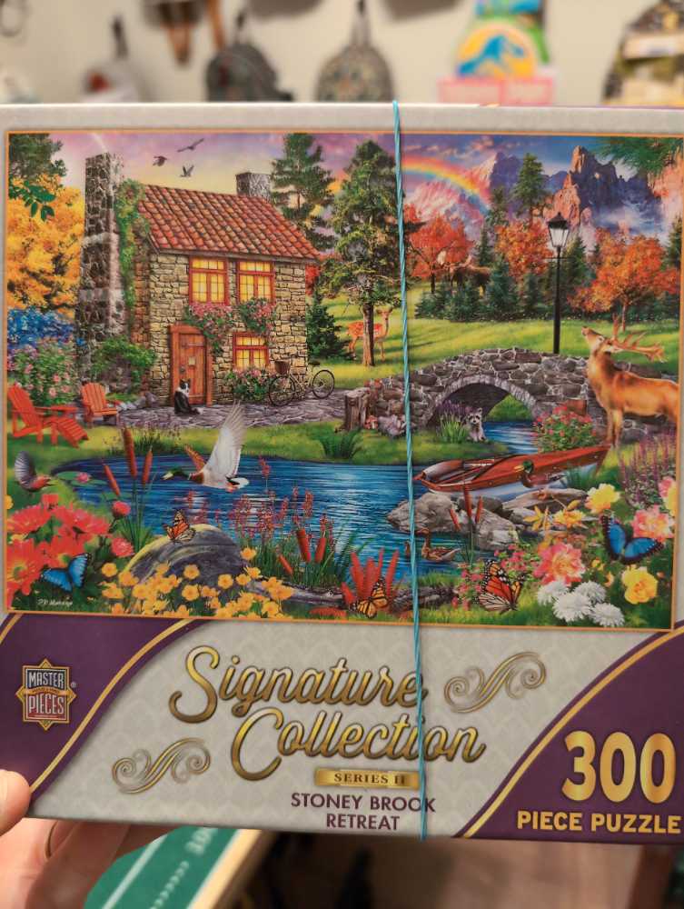 Pride & Prejudice: The Opening Lines: A 500-piece Jigsaw Puzzle