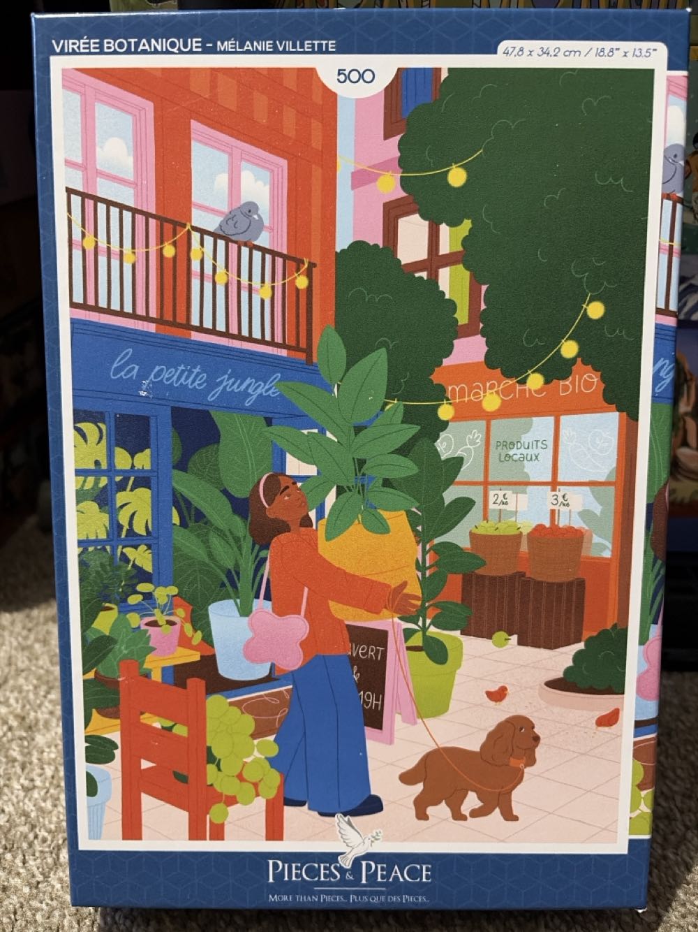 Jigsaw Journey: Homestead Reflections