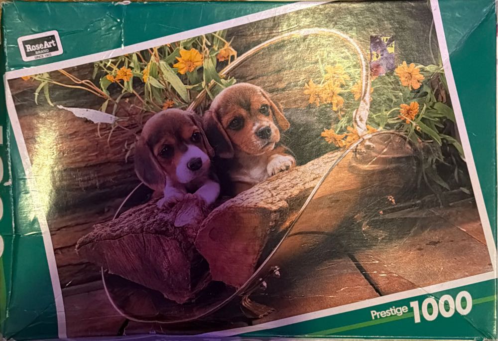 Hogwarts Class Of 1991