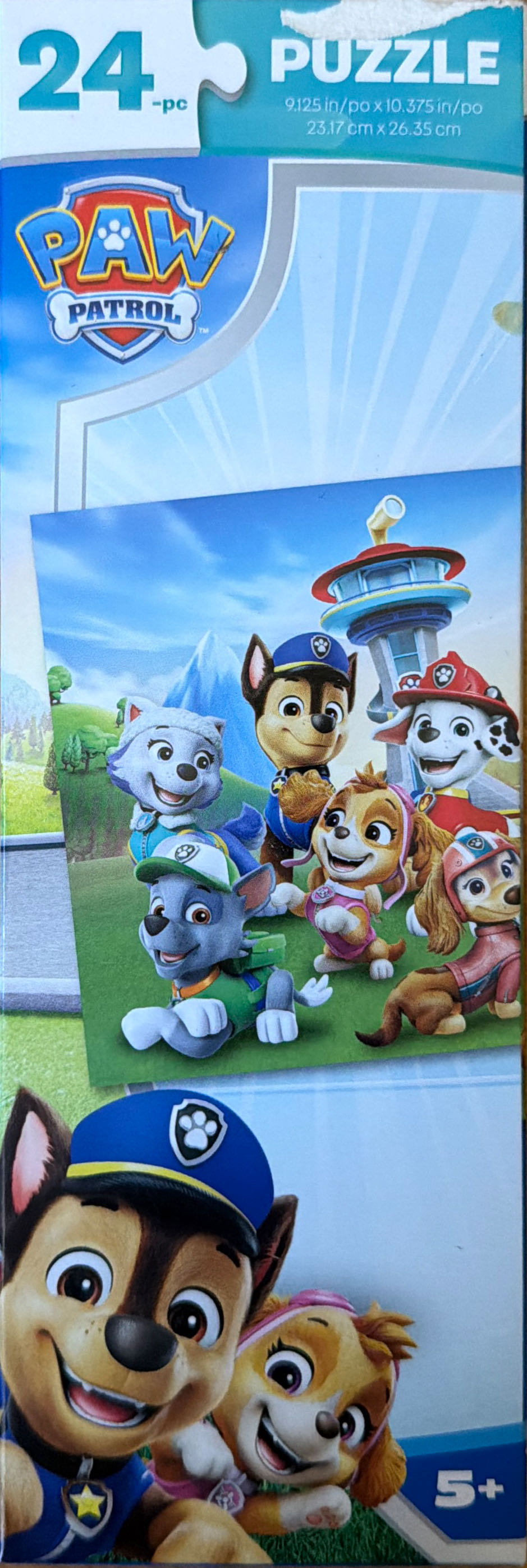 Black Cat Hidden In Tree