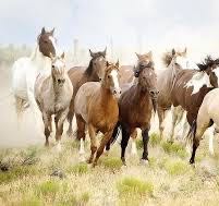 Flussidyll in den Bergen