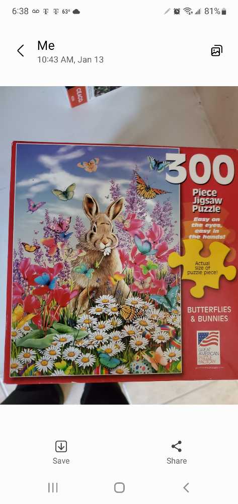 Radiant Peacock 🌀