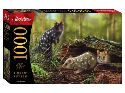 Cats, Aliens And Donuts