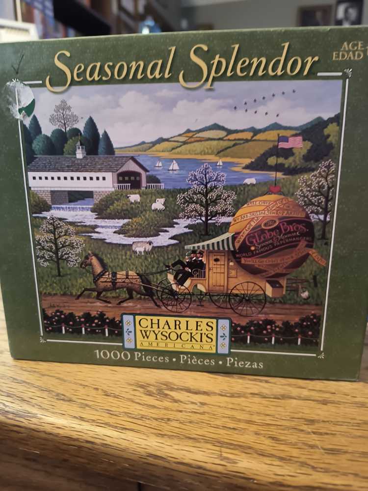 Cat In A The Sea Of Blossoms