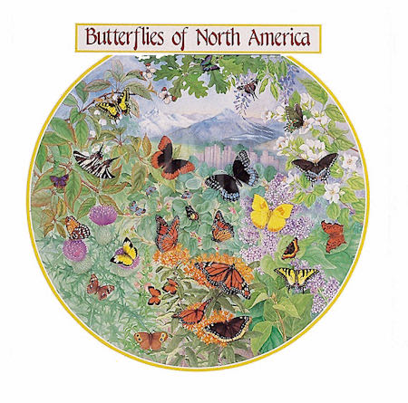 Butterflies Of North America 🟦🔴 - James Hamilton puzzle collectible [Barcode 5014519050116] - Main Image 2