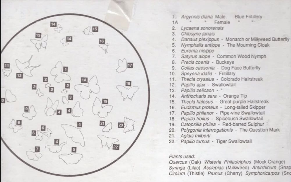 Butterflies Of North America 🟦🔴 - James Hamilton puzzle collectible [Barcode 5014519050116] - Main Image 4