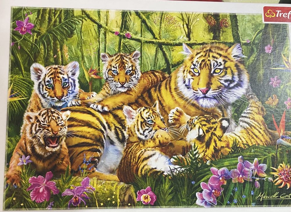 Escaping The Weight Of Darkness